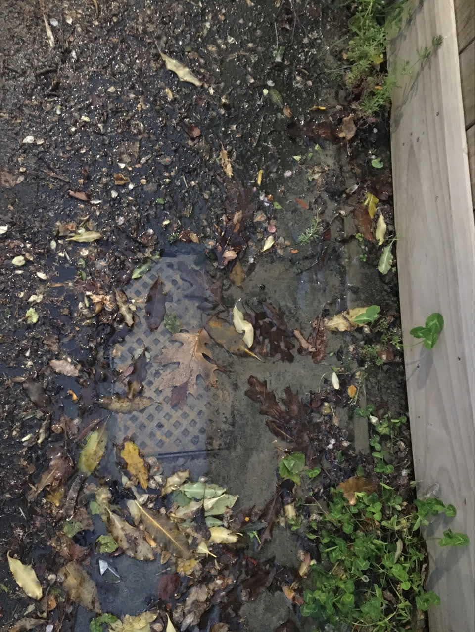 The photograph attached to this water leak report