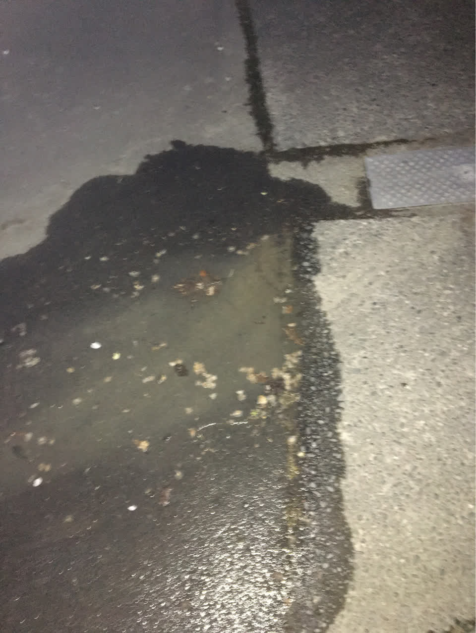 The photograph attached to this water leak report
