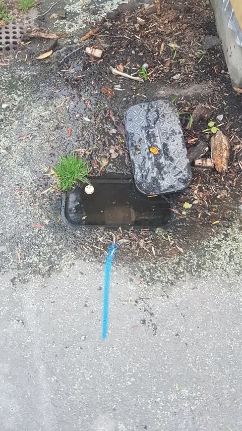 Water Leak, a report photo