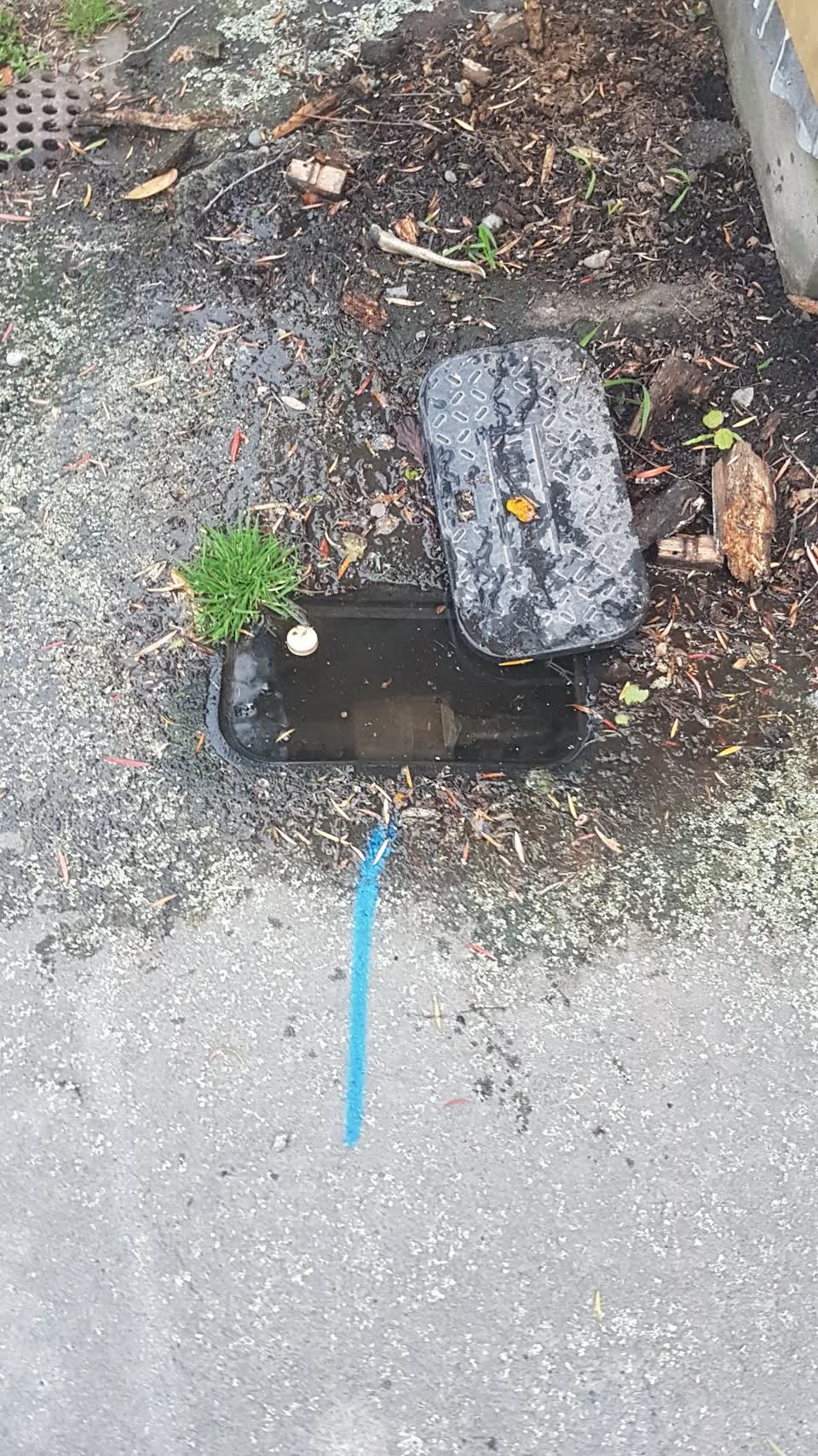 The photograph attached to this water leak report