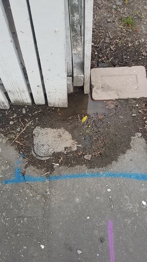 Water Leak, a report photo