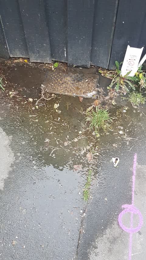 Water Leak, a report photo