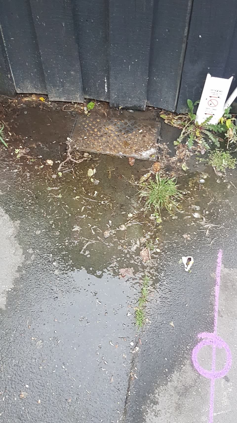 The photograph attached to this water leak report