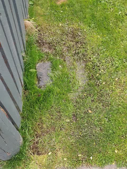 Water Leak, a report photo