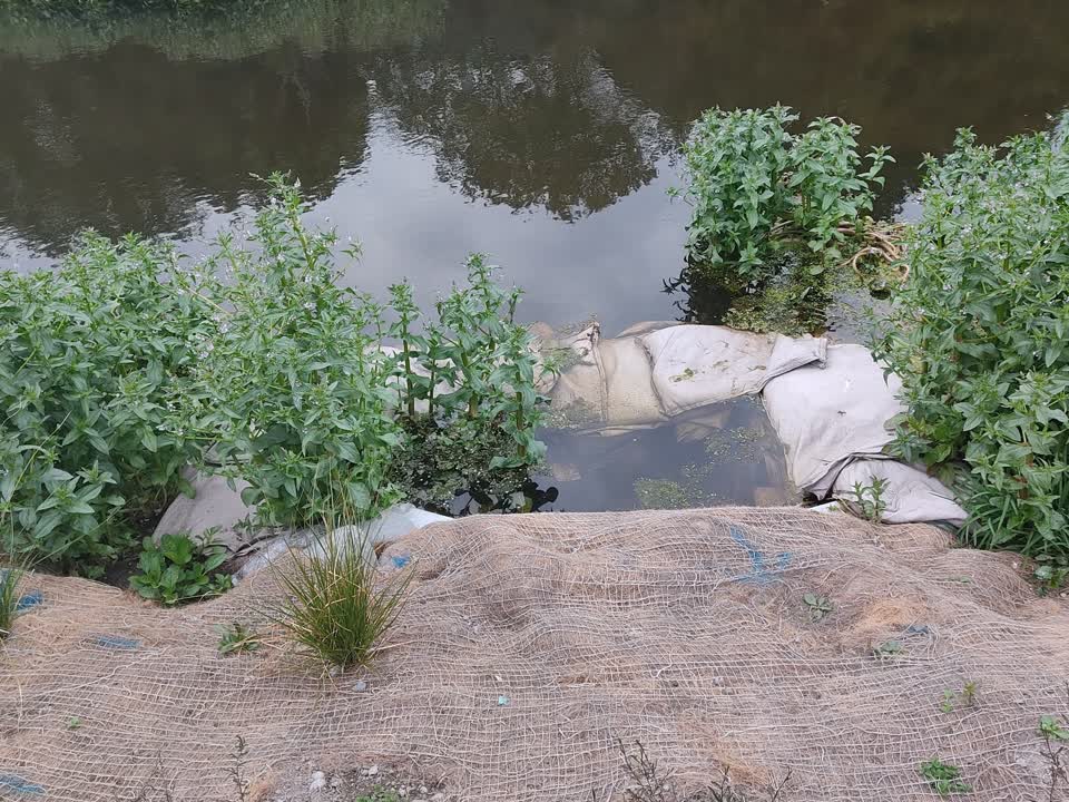 The photograph attached to this dumped rubbish report