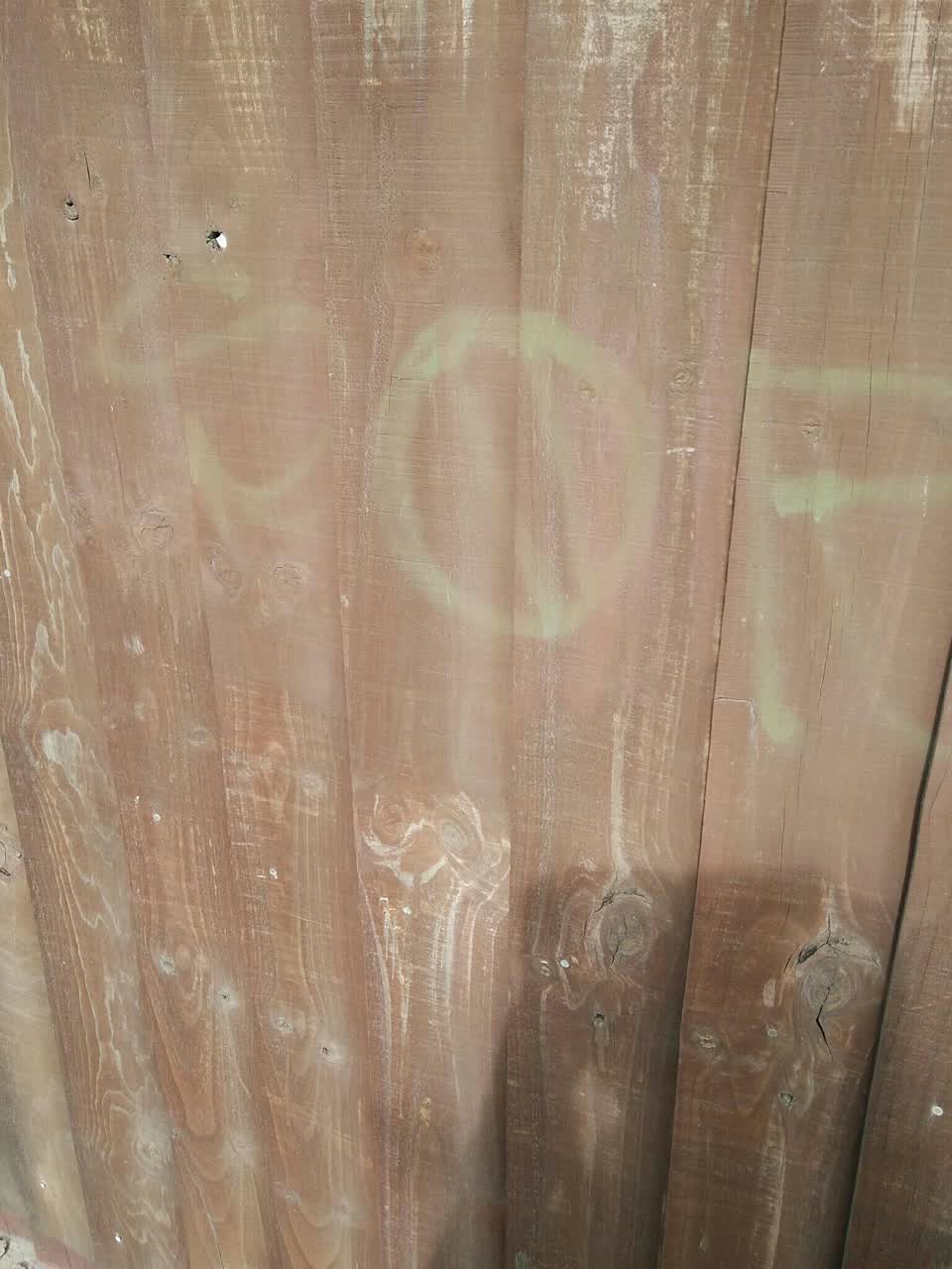 The photograph attached to this graffiti - public property report