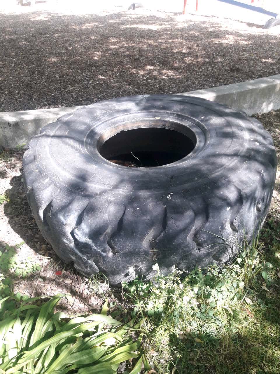 The photograph attached to this parks report