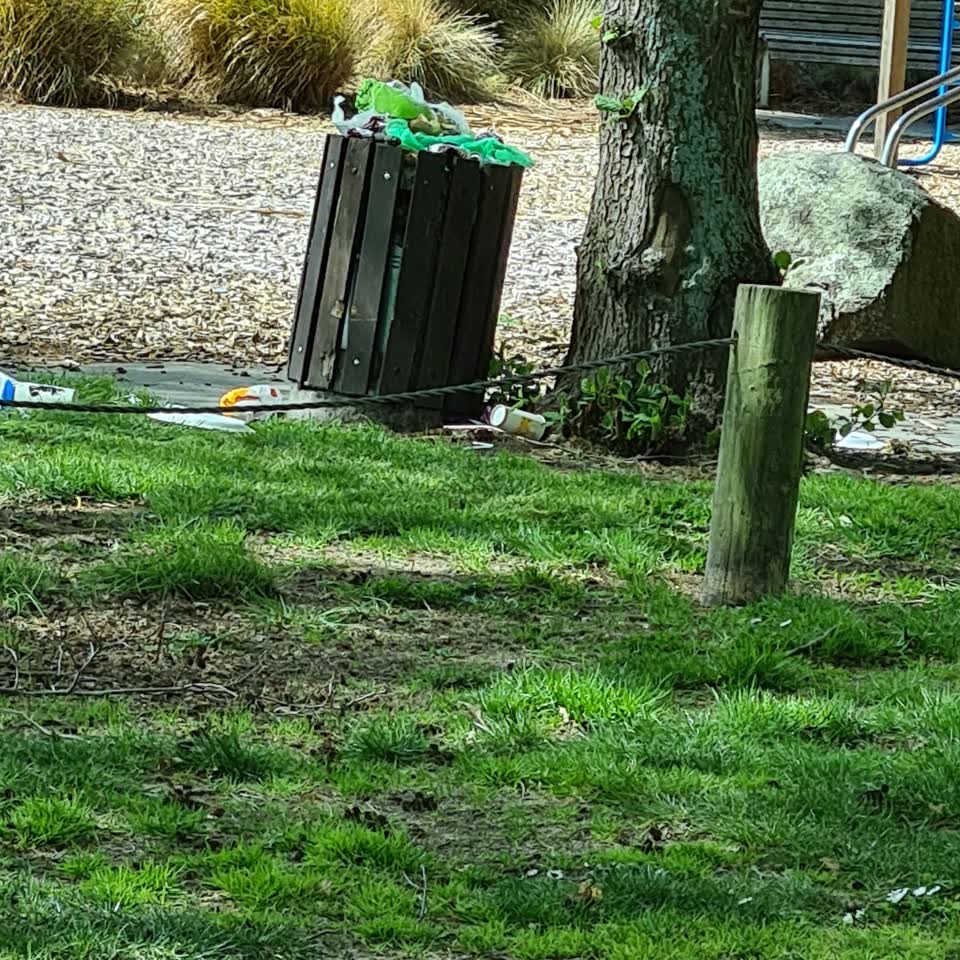 The photograph attached to this rubbish and bins - general report