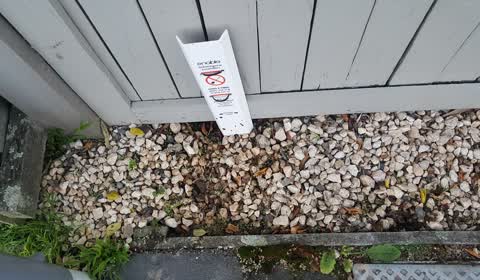 Water Leak, a report photo