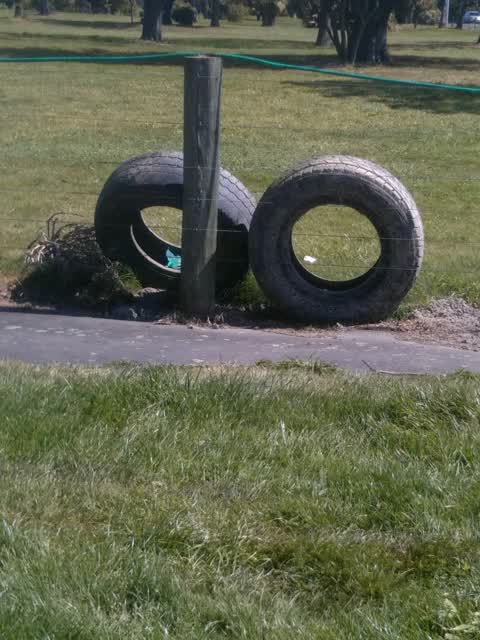 Dumped Rubbish, a report photo
