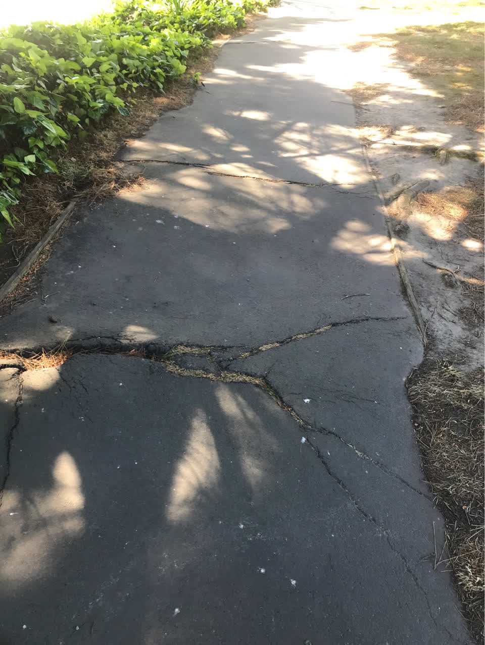 The photograph attached to this pavement - damaged report
