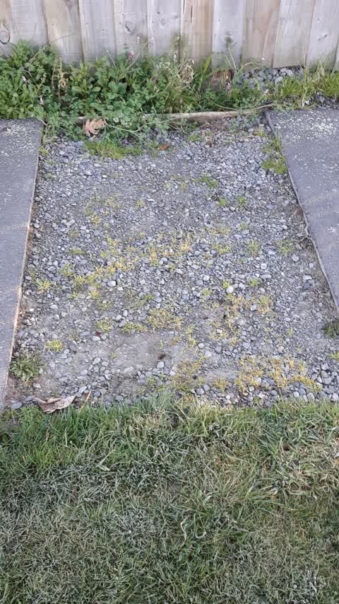 Pavement - Damaged, a report photo