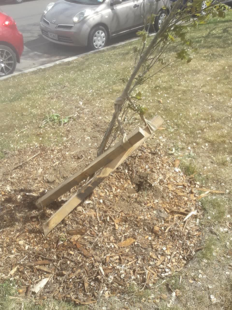 The photograph attached to this vandalism - general report