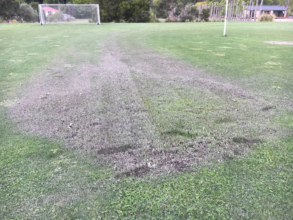 The photograph attached to this parks report