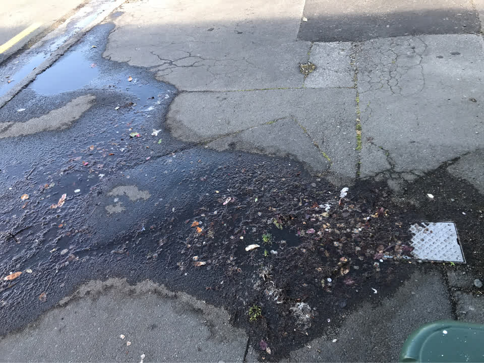 The photograph attached to this water leak report