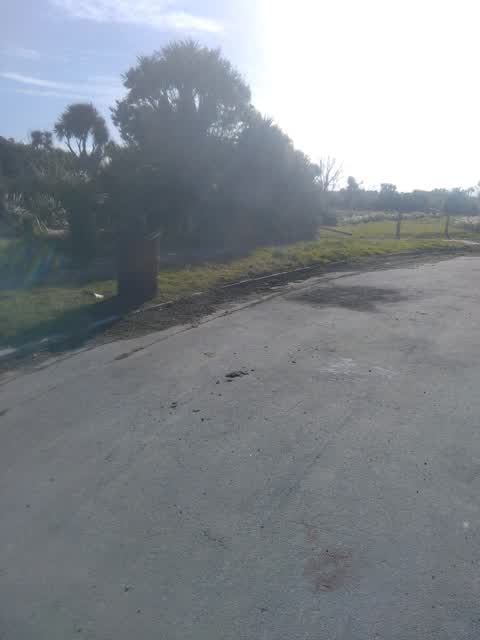 Dumped Rubbish, a report photo