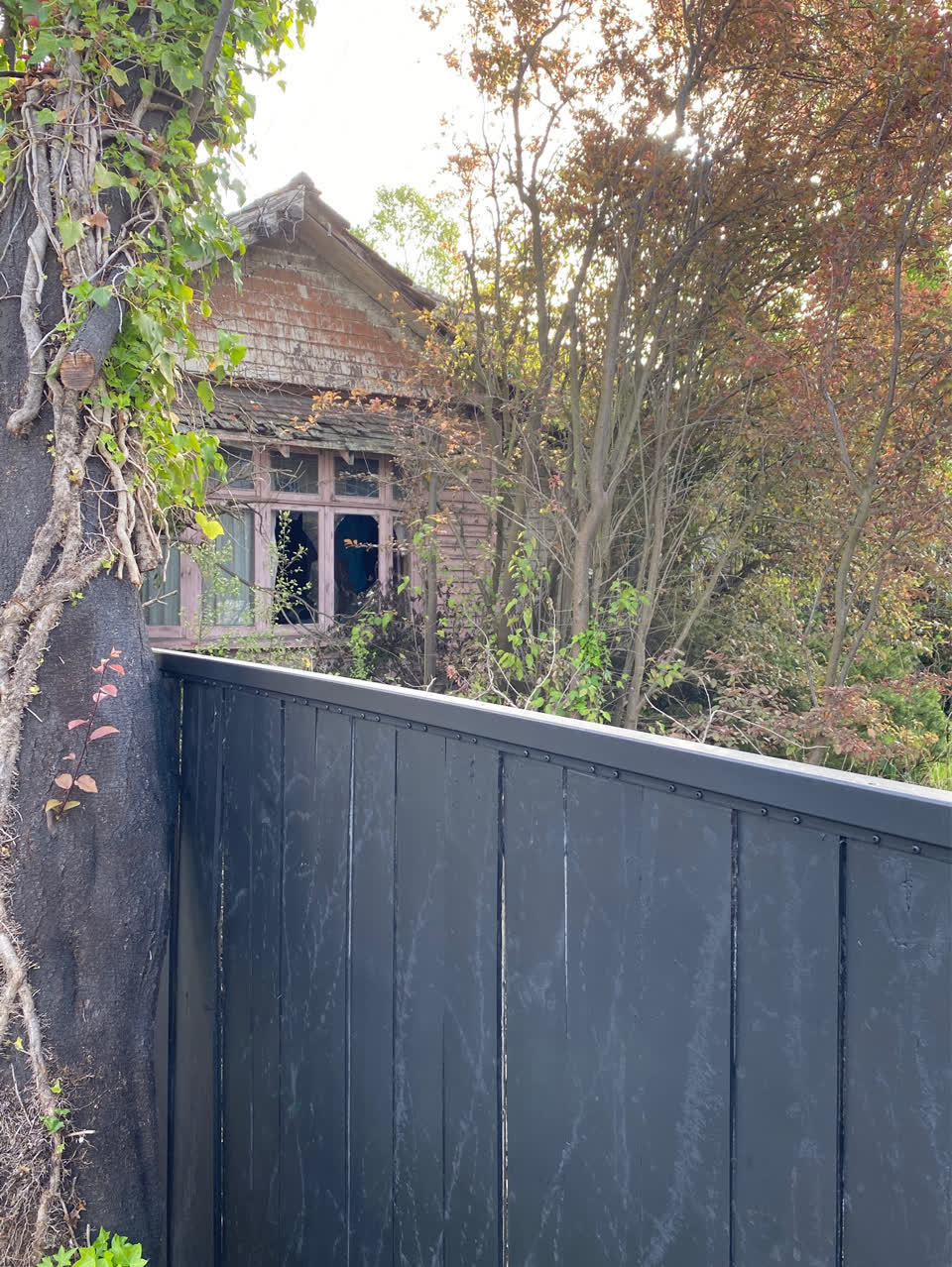The photograph attached to this vandalism - general report