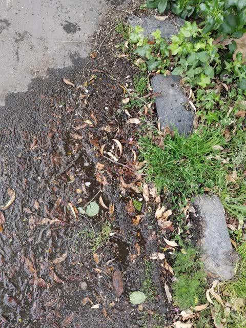 Water Leak, a report photo