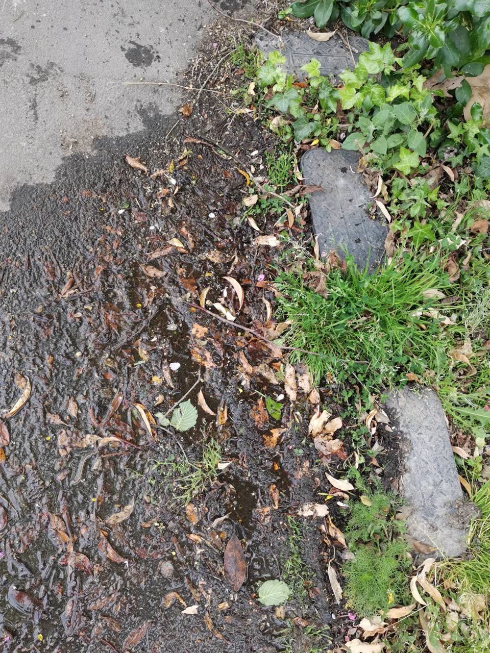 The photograph attached to this water leak report