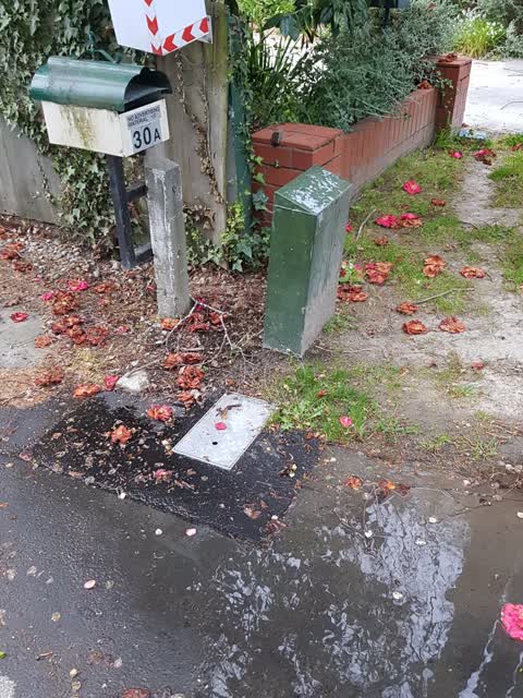 Water Leak, a report photo