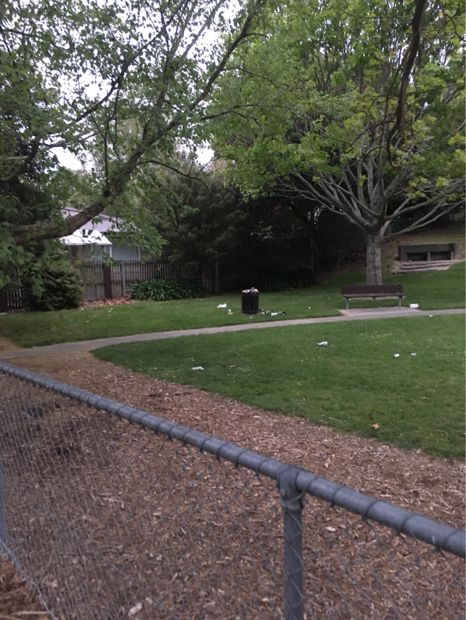 The photograph attached to this rubbish and bins - general report