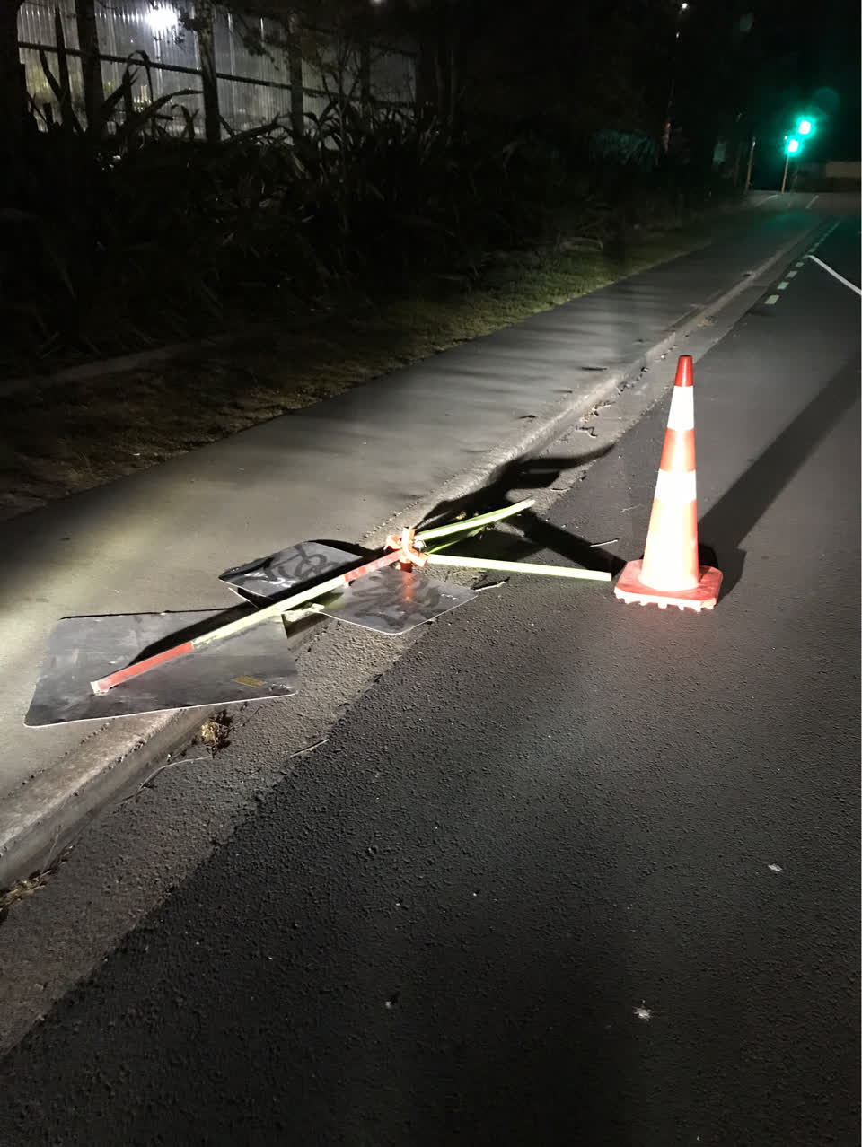 The photograph attached to this poles and signage - general report