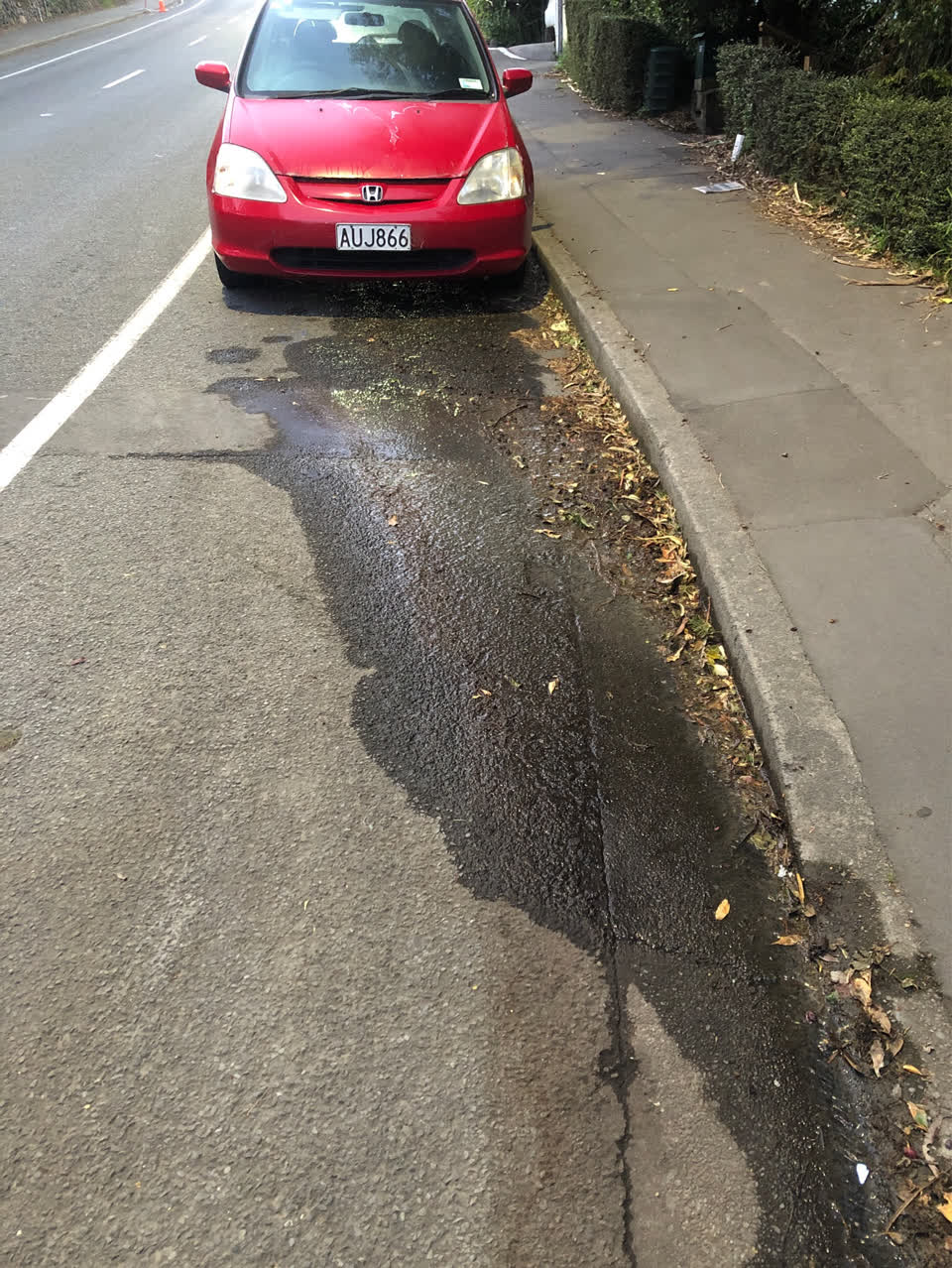 The photograph attached to this water leak report