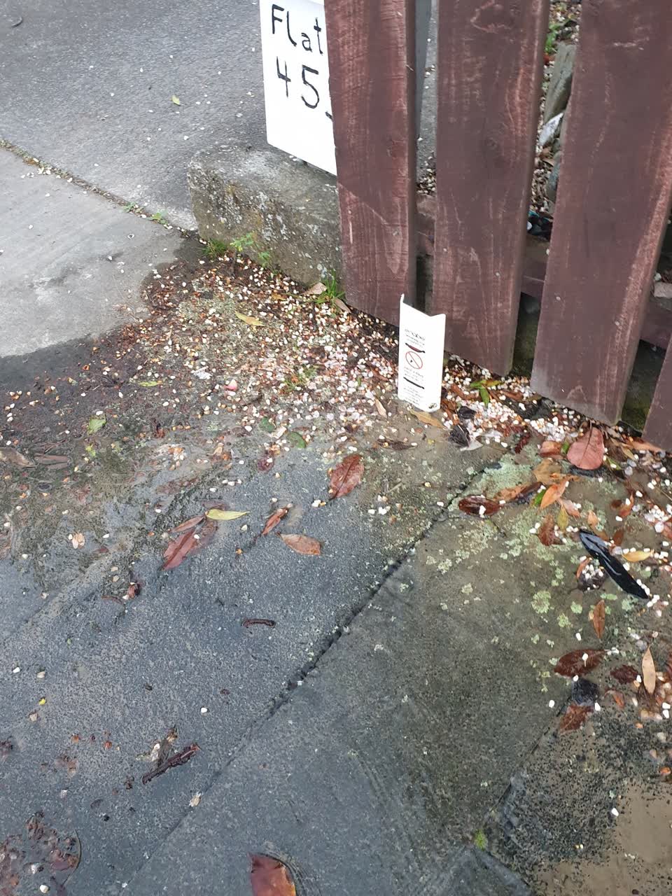 The photograph attached to this water leak report