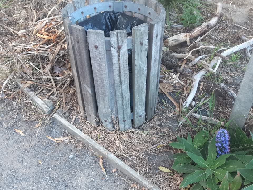 The photograph attached to this rubbish and bins - general report