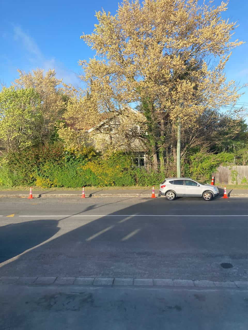 The photograph attached to this parking and cars - general report