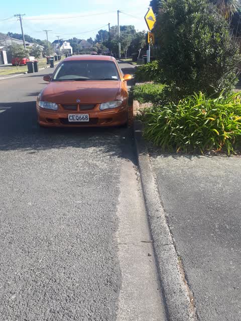 Abandoned Vehicle, a report photo