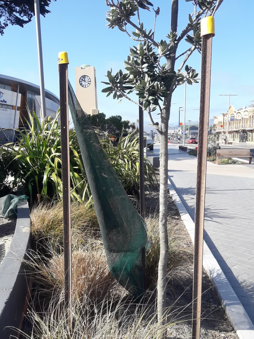 The photograph attached to this parks report