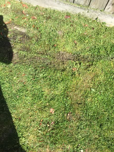 Water Leak, a report photo