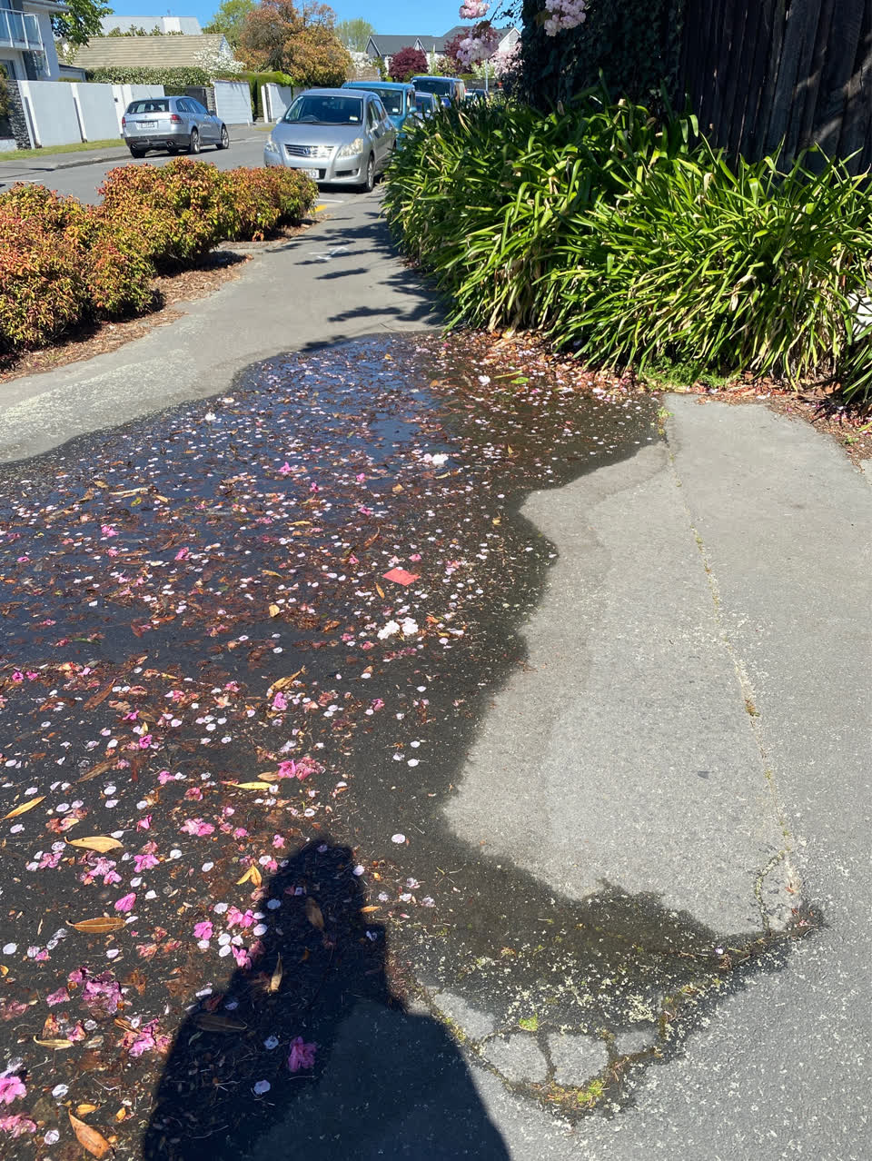 The photograph attached to this pavement - general report
