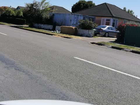Litter, a report photo