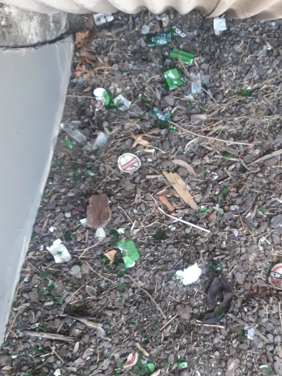 The photograph attached to this parks report