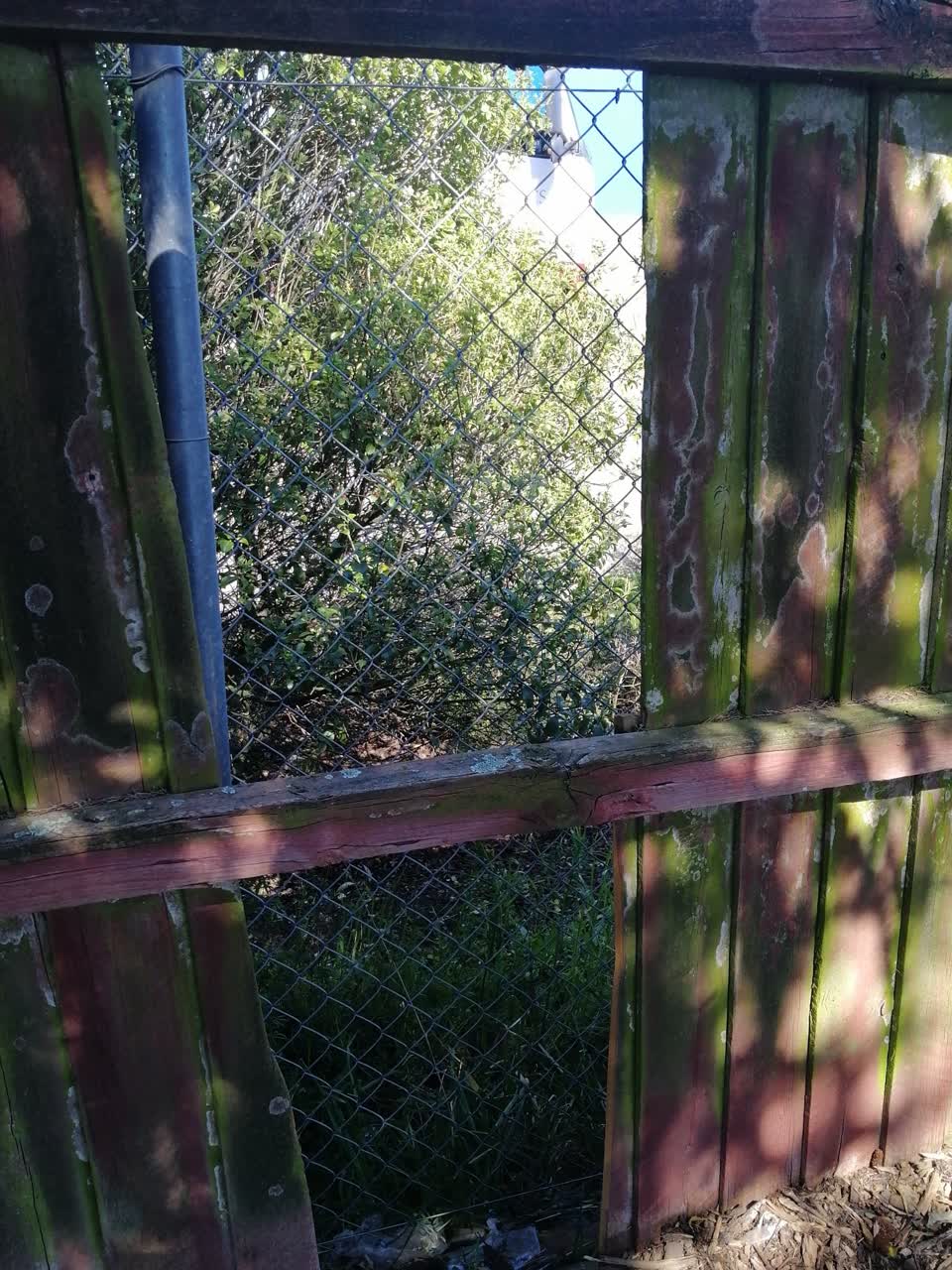 The photograph attached to this vandalism - general report