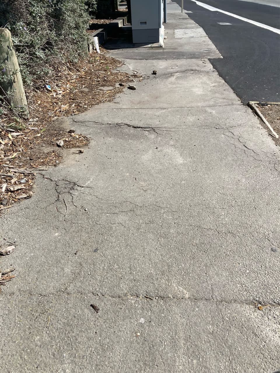 The photograph attached to this pavement - damaged report