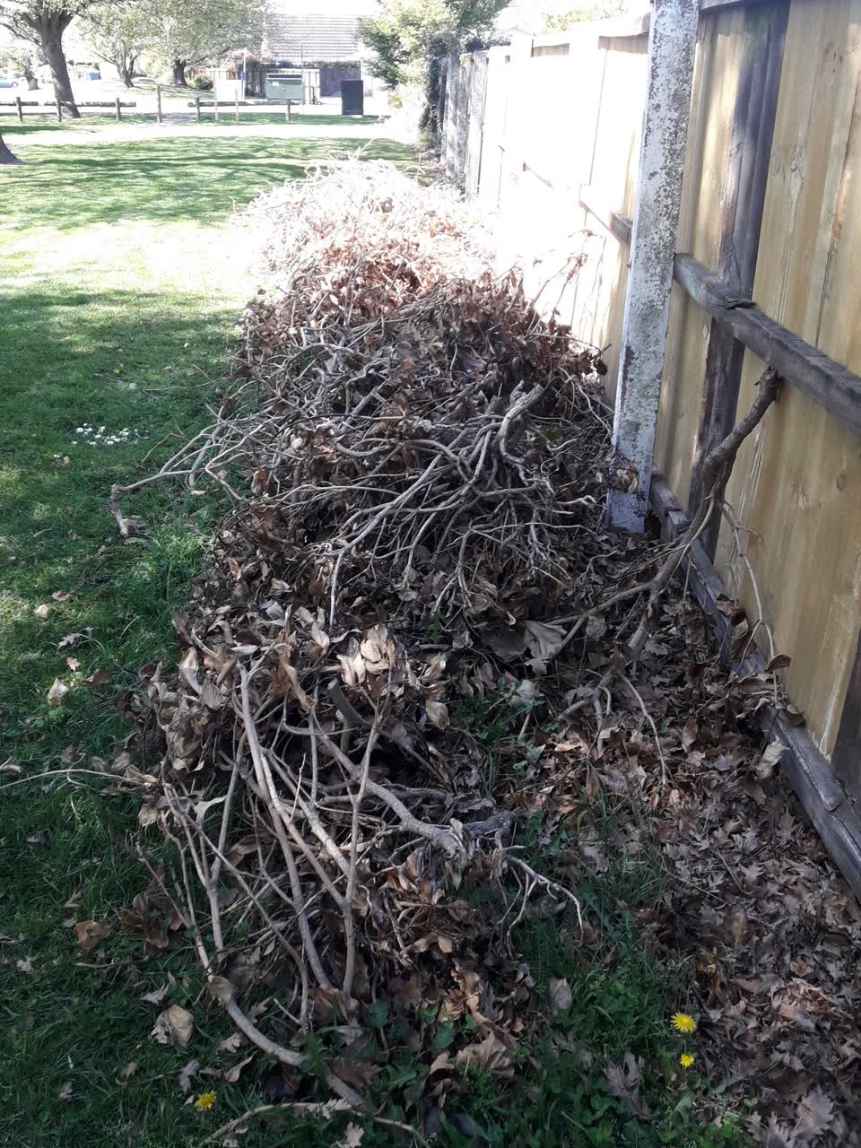 The photograph attached to this overgrown vegetation report