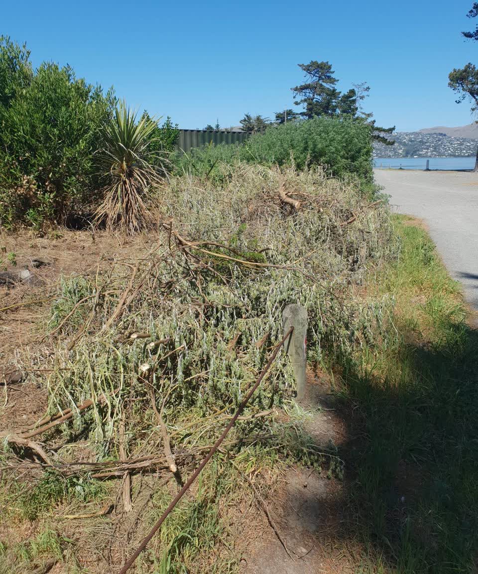 The photograph attached to this parks report
