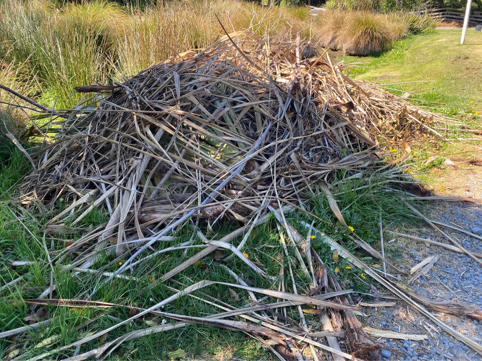 The photograph attached to this parks report