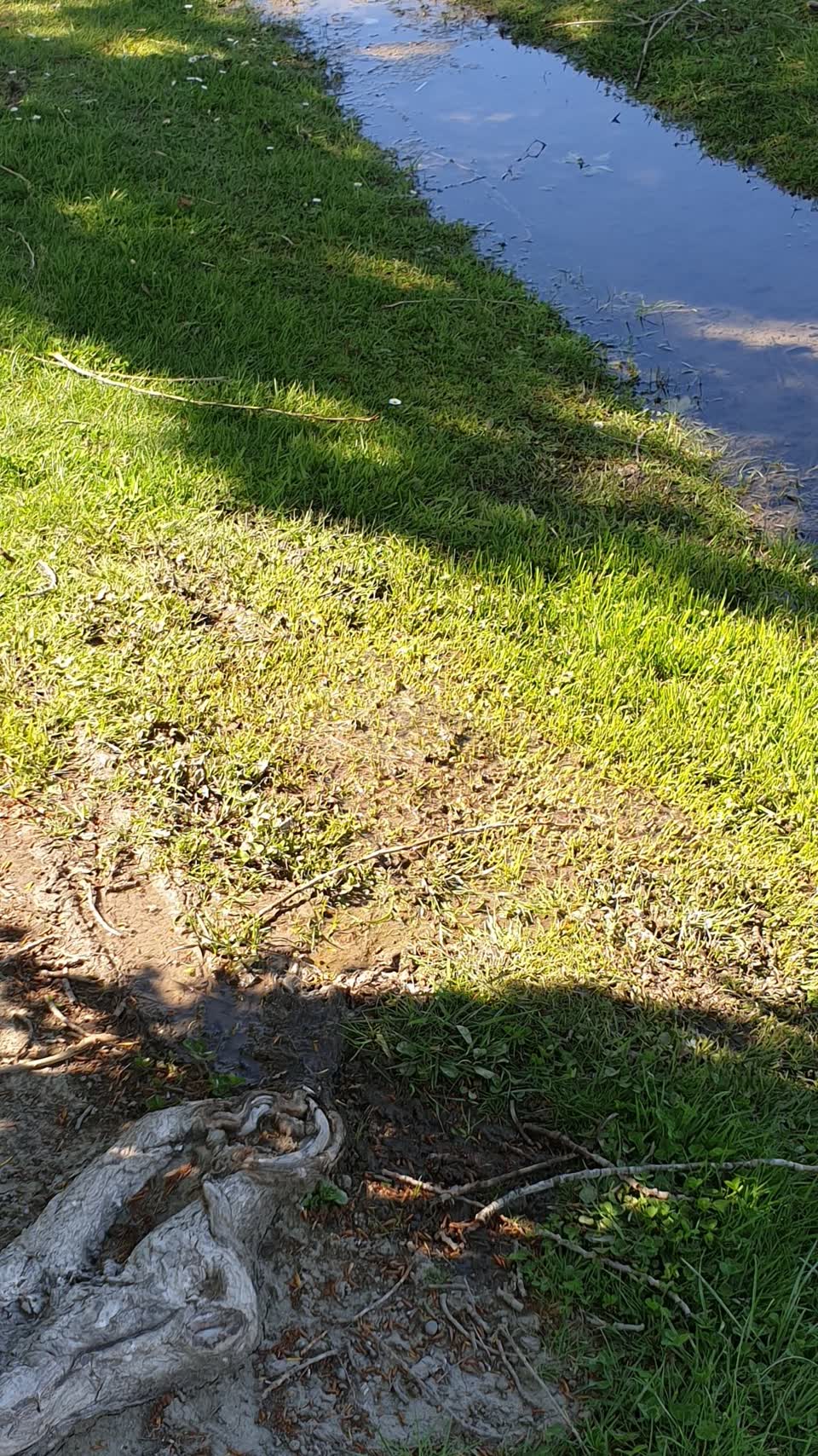 The photograph attached to this water leak report