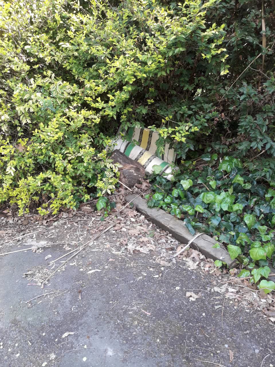 The photograph attached to this dumped rubbish report