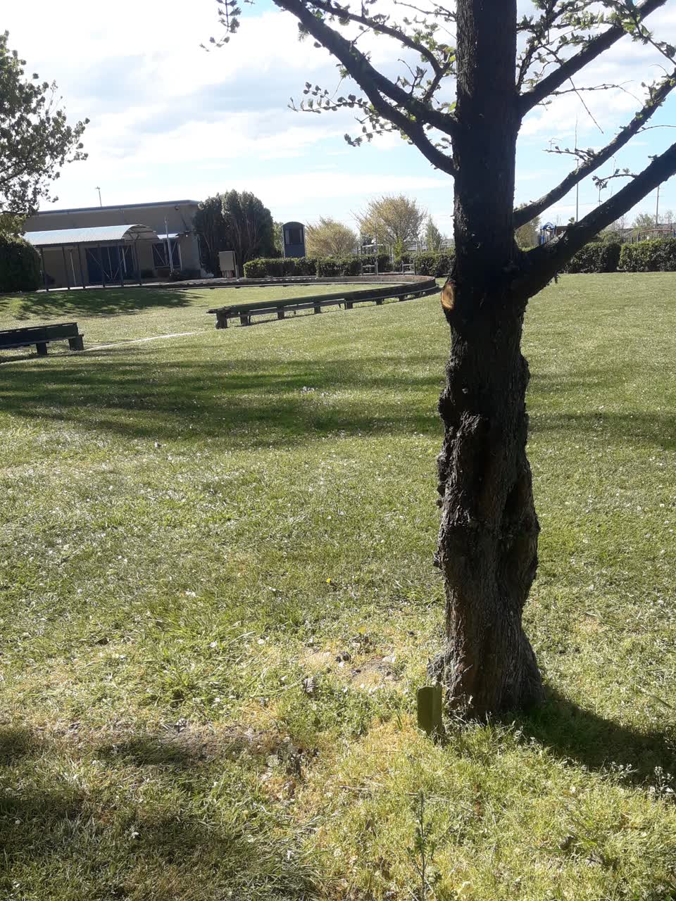 The photograph attached to this parks report