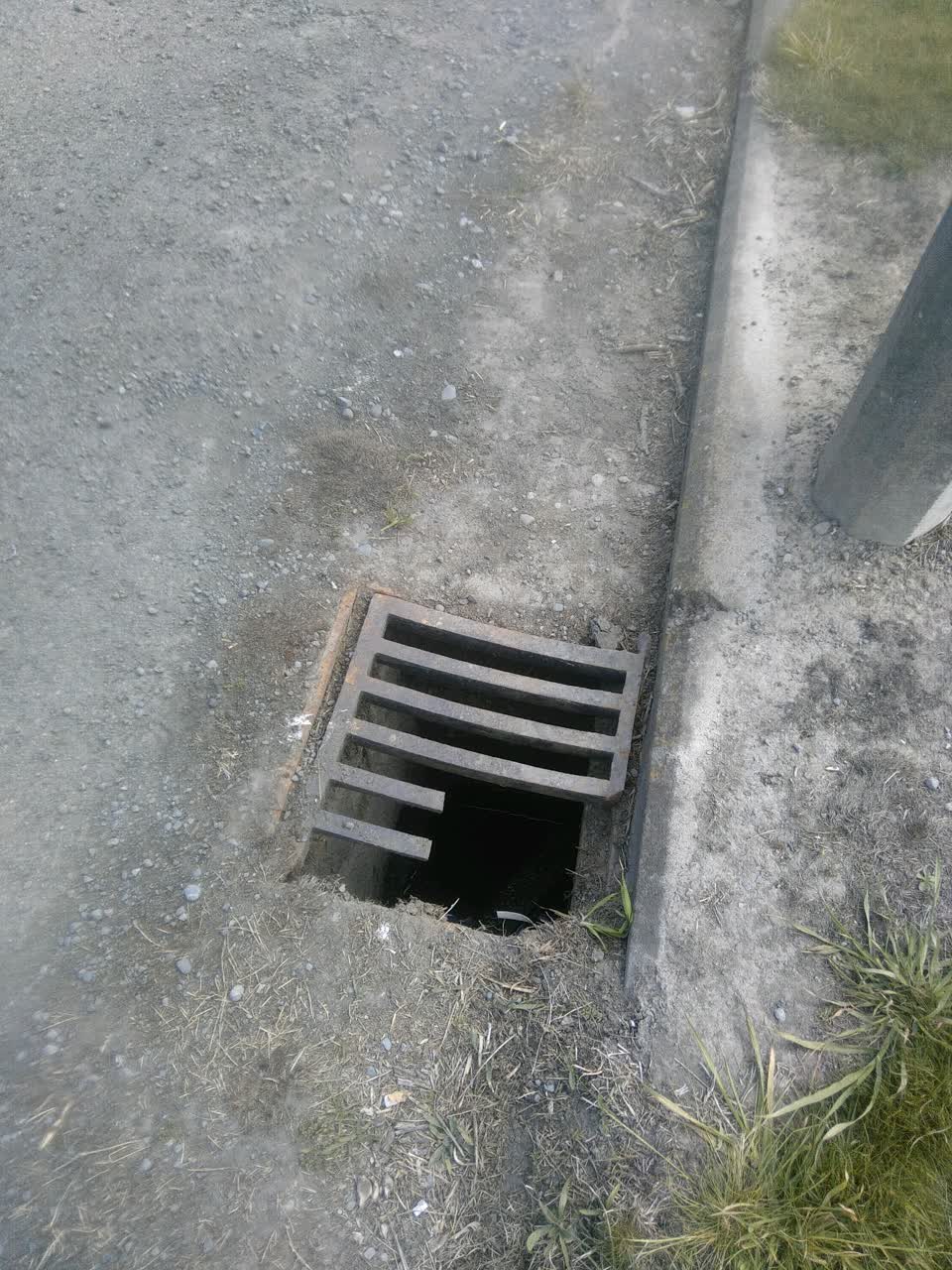 The photograph attached to this general request report