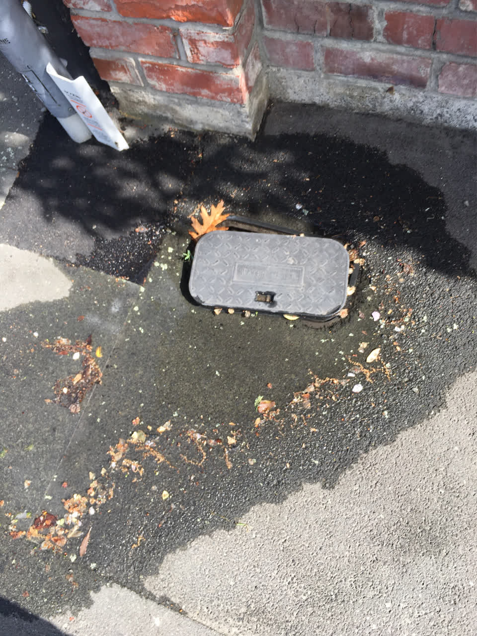 The photograph attached to this water leak report
