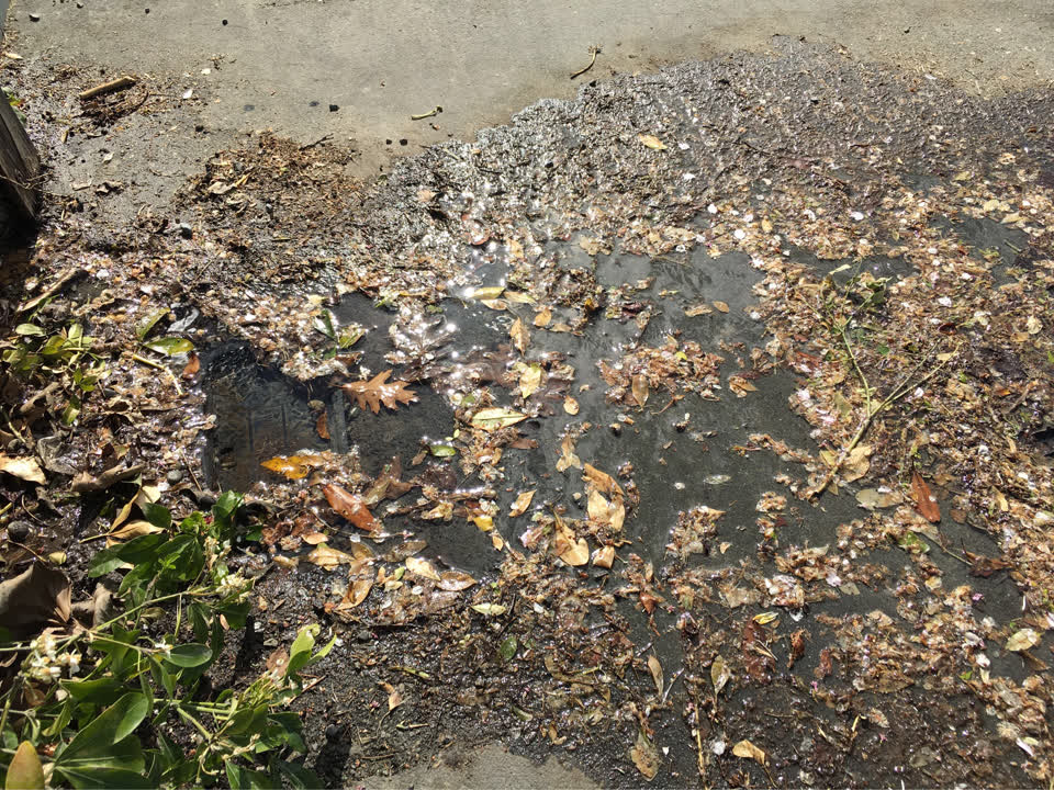 The photograph attached to this water leak report