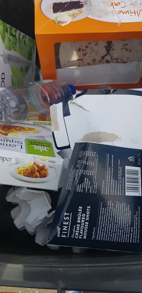 Rubbish and Bins - General — a report photo