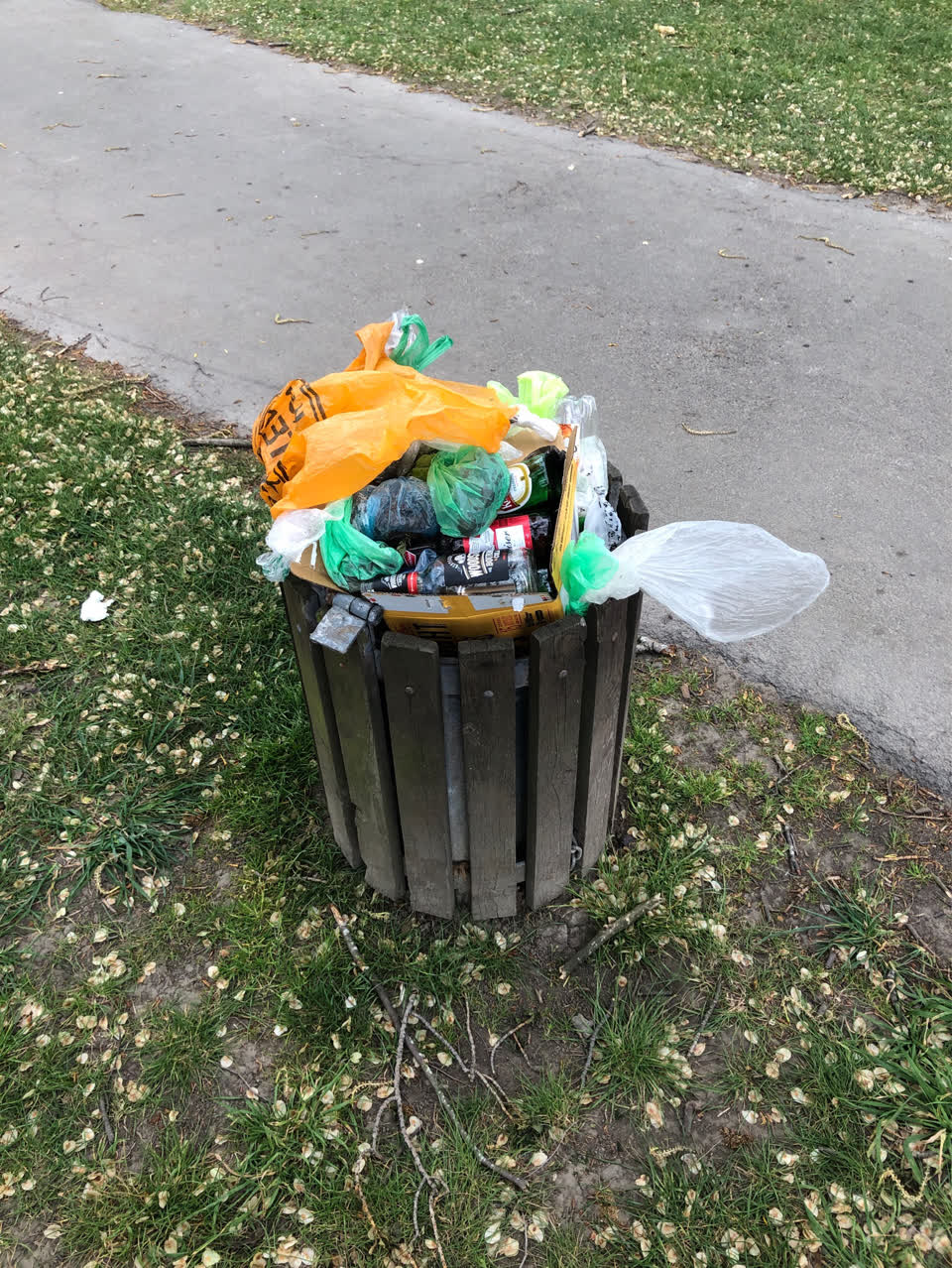 The photograph attached to this rubbish and bins - general report