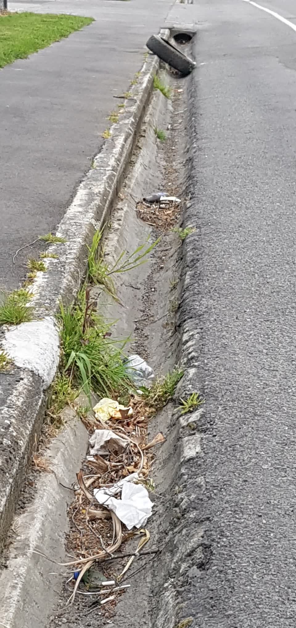 The photograph attached to this litter report